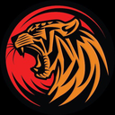 Tiger Token Token Logo
