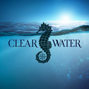 Clear Water Token Logo