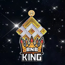 BNB King Token Logo