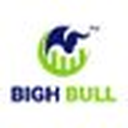 Audited token logo: BIGH BULL