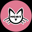 Nyan Cat Token logo