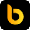 bDollar Share Token Logo