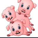 LITTLE PIGS Token Logo