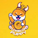 FlokiElonPuppy Token Logo