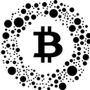 Wrapped Optical Bitcoin Token Logo