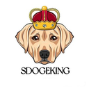 SDogeKing Token Logo