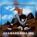 AKAMARU KIBA INU Token Logo