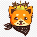Doge king Plus Token Logo