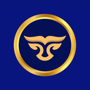 Blue Gold Token Logo
