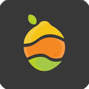 Fruit Token Token Logo