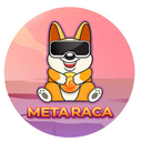 METARACA Token Logo