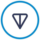 Wrapped TON Coin Token Logo