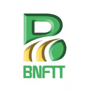 BNFTX TOKEN Token Logo