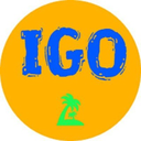 Audited token logo: IGOCOIN