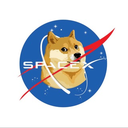 SpaceX Doge Inu Token Logo