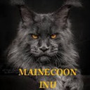 Mainecoon inu Token Logo