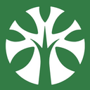 Forestry Token Logo