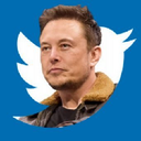 ELON BUYS TWITTER Token Logo