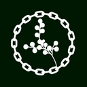 Spring Token Logo