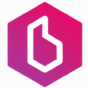 Brayzin Heist Token Logo