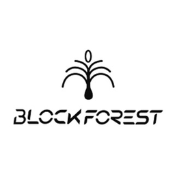 BFT [Block Forest] Token — info, price, chart, audit