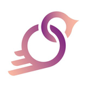 BirdChain Token Logo