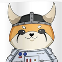 Floki SpaceX Token Logo