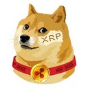 XrpDoge Token Logo