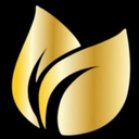 Earnfinex Token Logo