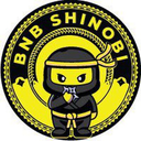 BNB Shinobi Token Logo