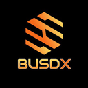 BUSDX Token Logo