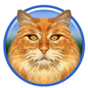 Ragdoll Cat NFT Token Logo
